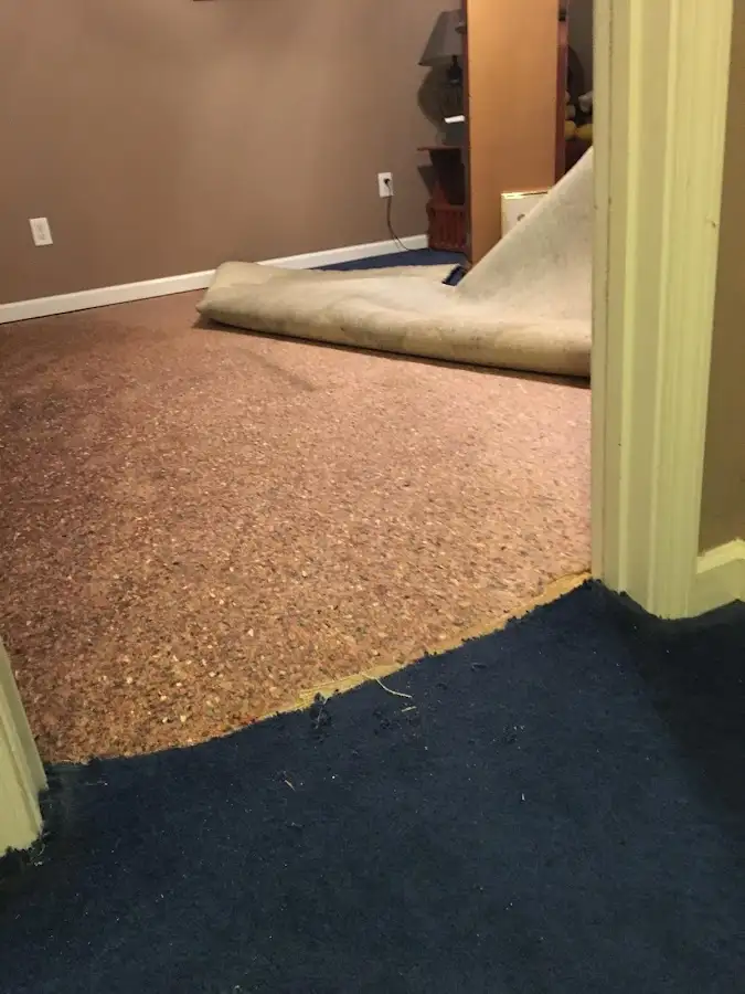 Carpet pad removal revealing water damage during Drying & Dehumidification in Towson