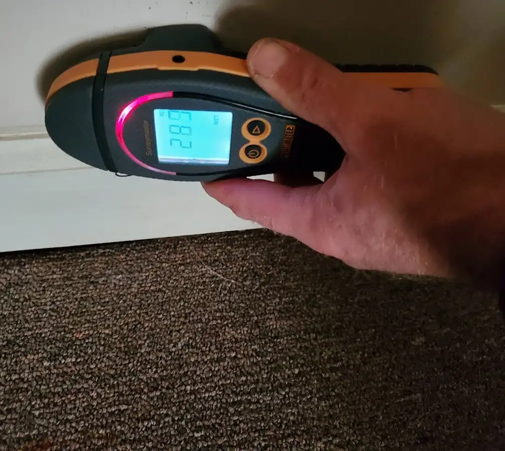 Moisture detection at baseboard during Sewage Cleanup & Sanitation in Towson